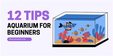 aquarium advice|12 Aquarium Tips for Beginners .